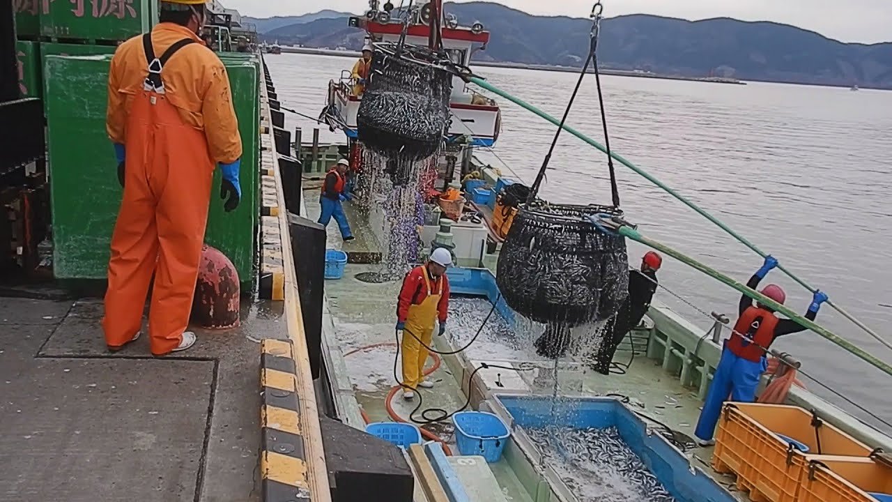 🐟 오카다우라 어항(오카다우라교코) 이미지 9